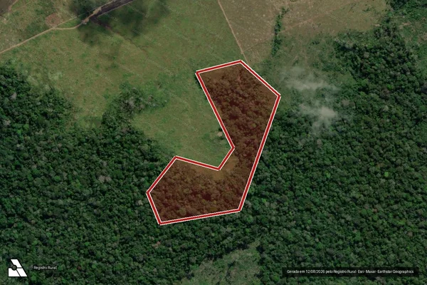 Imagem de satélite de Infração da Flora em Lábrea - AM