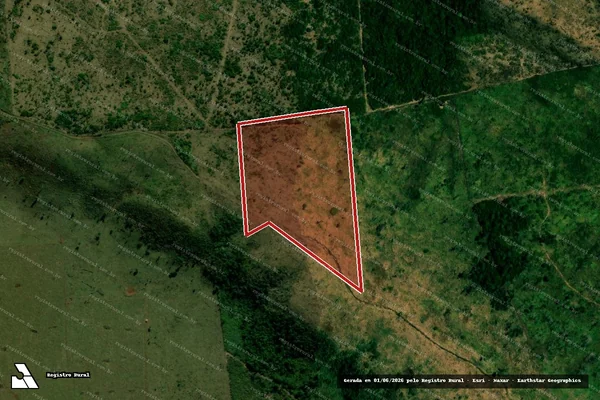Imagem de satélite de Infração da Flora em Juína - MT
