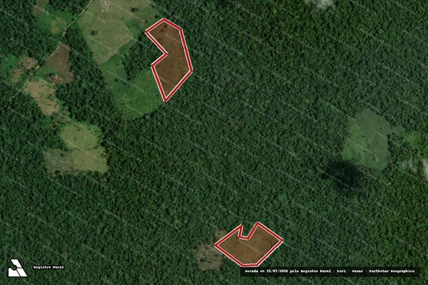 Imagem de satélite de Infração Ambiental em Feijó - AC