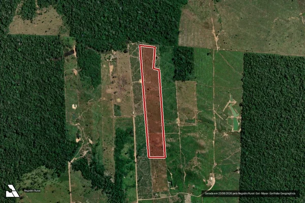Imagem de satélite de Infração da Flora em Porto Velho - RO