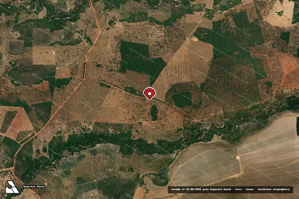 Imagem de satélite de Infração Ambiental em Formosa - GO (marcador da localização)