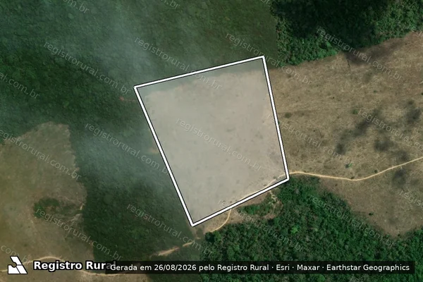 Imagem de satélite de Infração da Flora em Novo Progresso - PA