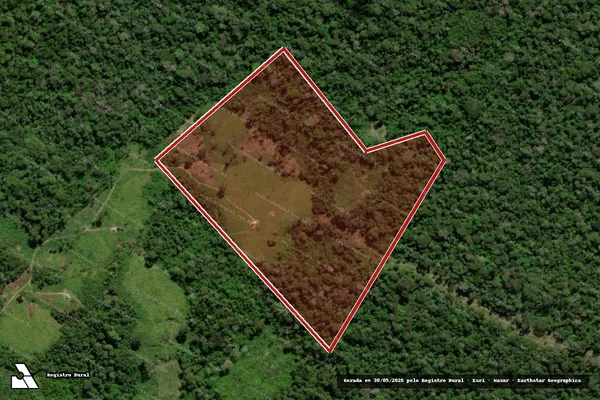 Imagem de satélite de Infração da Flora em Assis Brasil - AC