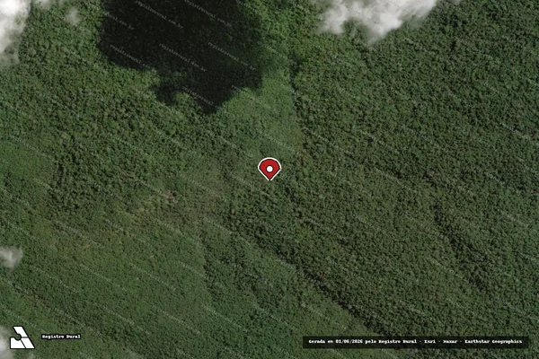 Imagem de satélite de Infração Ambiental em Centro Novo do Maranhão - MA (marcador da localização)