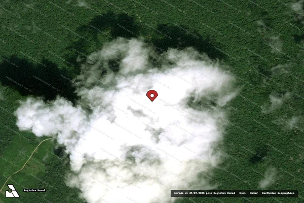 Imagem de satélite de Infração Ambiental em Portel - PA (marcador da localização)