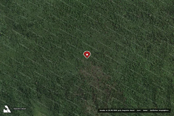 Imagem de satélite de Infração Ambiental em Centro Novo do Maranhão - MA (marcador da localização)