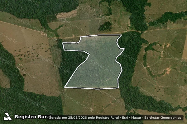 Imagem de satélite de Infração da Flora em Boca do Acre - AM