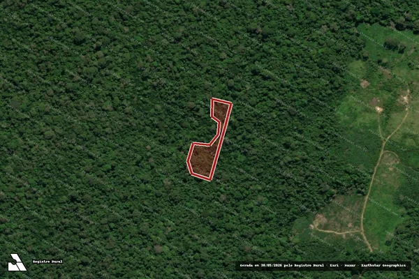 Imagem de satélite de Infração Ambiental em Anapu - PA