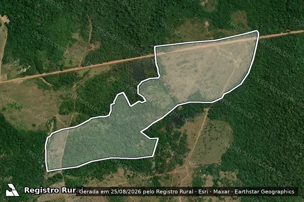 Imagem de satélite de Infração Ambiental em Apuí - AM