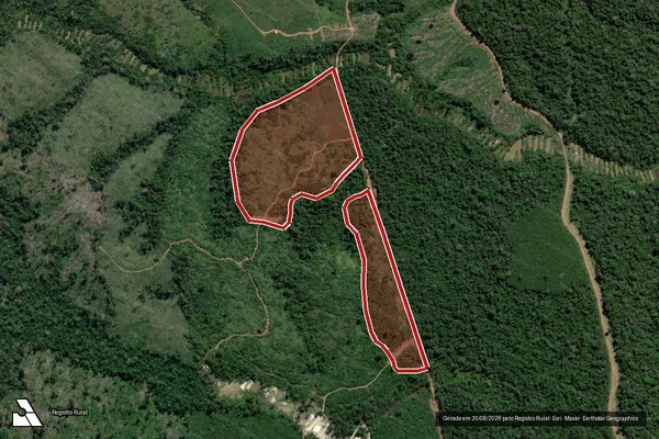 Imagem de satélite de Infração da Flora em Itaituba - PA