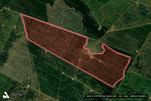 Imagem de satélite de Infração da Flora em Alto Paraíso - RO