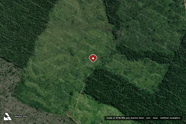 Imagem de satélite — Embargo IBAMA — Infração da Flora — Tapauá/AM