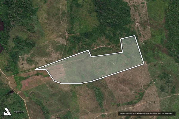 Imagem de satélite de Infração da Flora em Novo Progresso - PA