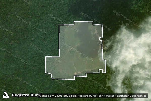Imagem de satélite de Infração Ambiental em Mâncio Lima - AC
