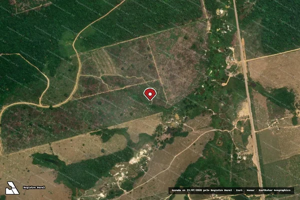 Imagem de satélite de Infração da Flora em Novo Progresso - PA (marcador da localização)