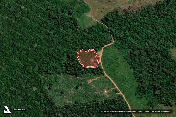 Imagem de satélite — Embargo IBAMA — Infração da Flora - Apuí/AM