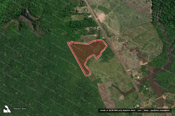 Imagem de satélite de Infração Ambiental em Manaquiri - AM