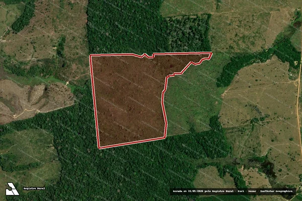 Imagem de satélite de Infração da Flora em Apuí - AM