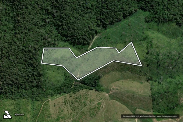 Imagem de satélite — Embargo IBAMA — Infração da Flora - Rurópolis/PA