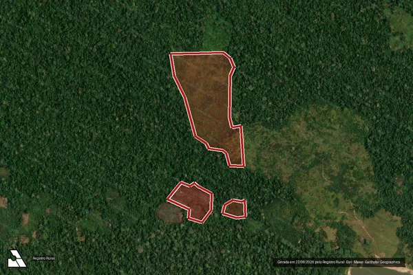 Imagem de satélite de Infração da Flora em Guajará - AM