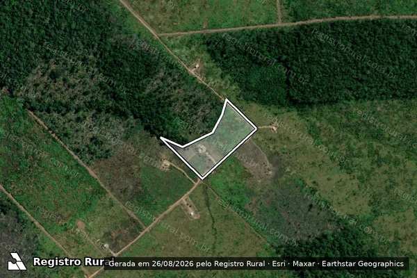 Imagem de satélite de Infração da Flora em Humaitá - AM