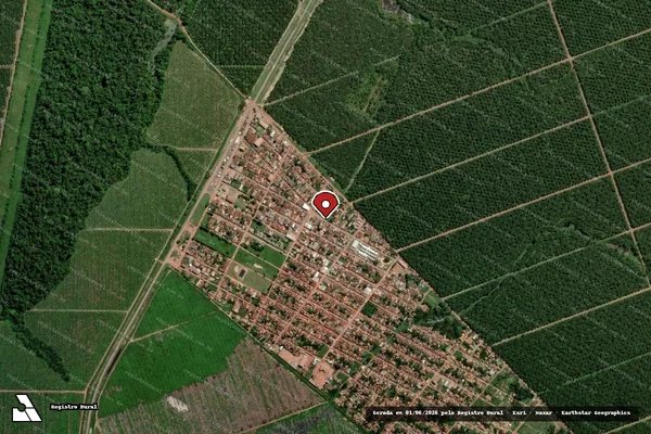 Imagem de satélite de Comércio Ilegal de Madeira em Tailândia - PA (marcador da localização)