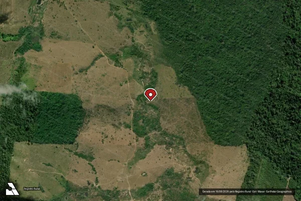 Imagem de satélite de Infração Ambiental em São Félix do Xingu - PA (marcador da localização)