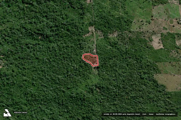 Imagem de satélite — Embargo IBAMA — Infração da Flora — Sítio Novo do Tocantins/TO