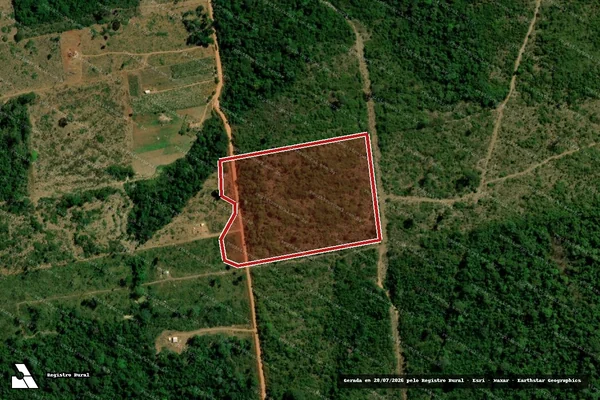 Imagem de satélite de Infração da Flora em Paranaíta - MT