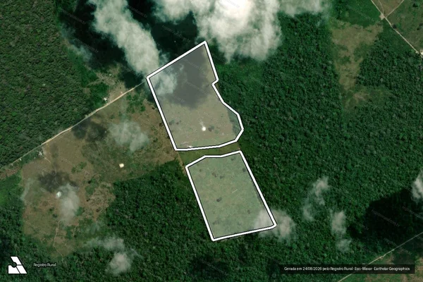 Imagem de satélite de Infração da Flora em Portel - PA