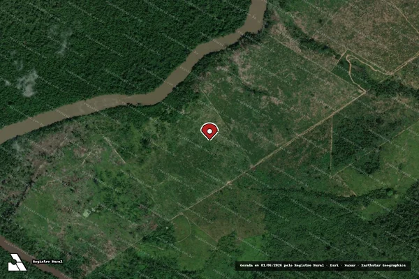 Imagem de satélite de Infração da Flora em Novo Progresso - PA (marcador da localização)