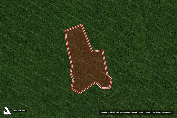 Imagem de satélite de Infração Ambiental em Portel - PA