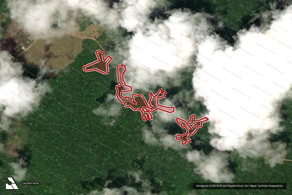 Imagem de satélite de Infração da Flora em Tartarugalzinho - AP