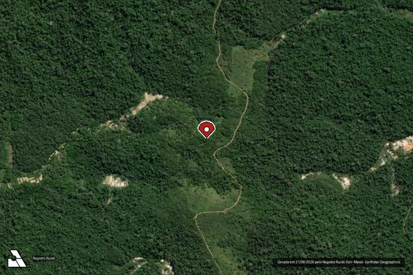 Imagem de satélite de Infração Ambiental em Itaituba - PA (marcador da localização)