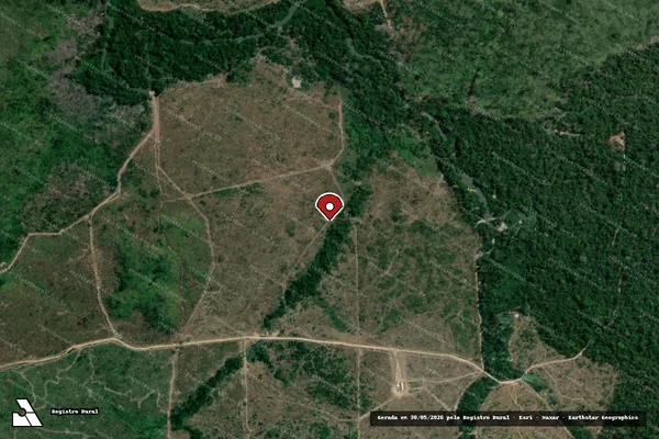 Imagem de satélite de Infração da Flora em Altamira - PA (marcador da localização)