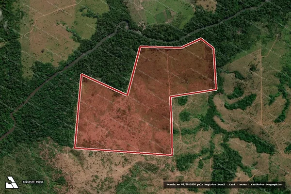 Imagem de satélite de Infração da Flora em Colniza - MT