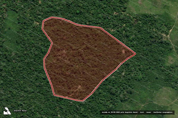 Imagem de satélite de Infração da Flora em Anapu - PA