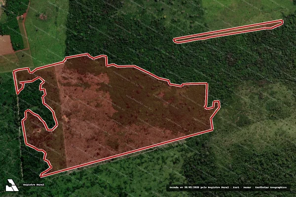 Imagem de satélite de Infração da Flora em São Félix do Xingu - PA