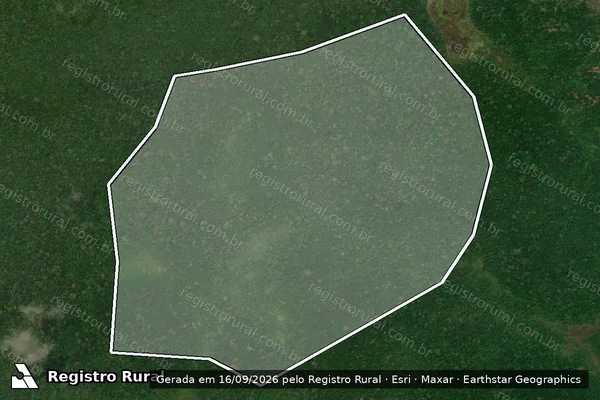 Imagem de satélite — Embargo IBAMA — Infração da Flora - Rorainópolis/RR