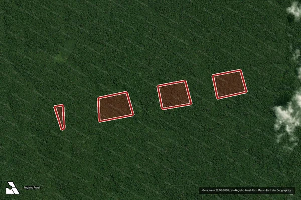 Imagem de satélite de Infração da Flora em Portel - PA