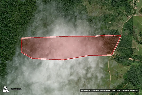 Imagem de satélite de Infração da Flora em Medicilândia - PA
