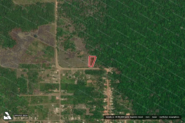 Imagem de satélite — Embargo IBAMA — Infração da Flora - Belterra/PA