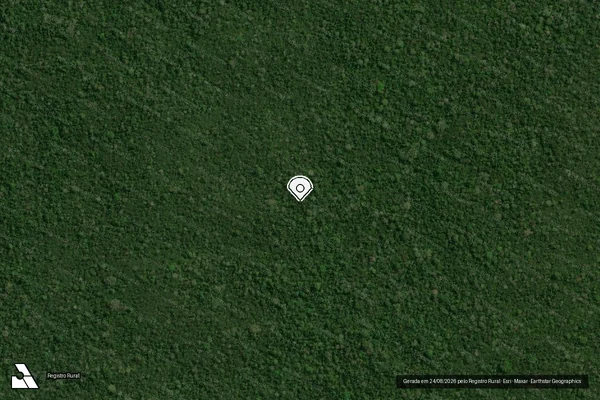 Imagem de satélite de Infração Ambiental em Porto Velho - RO (marcador da localização)