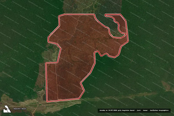 Imagem de satélite — Embargo IBAMA — Infração da Flora - Porto Velho/RO