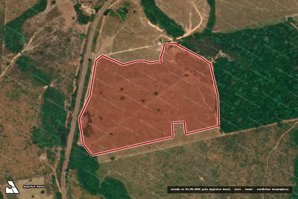 Imagem de satélite de Infração da Flora em Trairão - PA