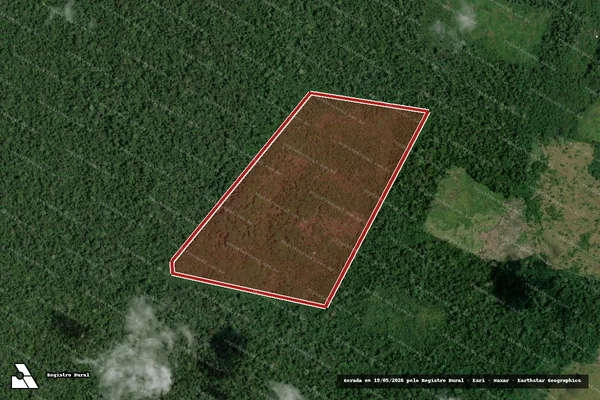 Imagem de satélite — Embargo IBAMA — Infração da Flora - Caroebe/RR