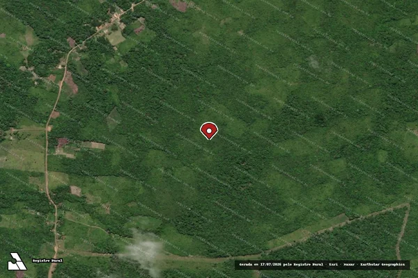 Imagem de satélite de Infração da Flora em Moju - PA (marcador da localização)