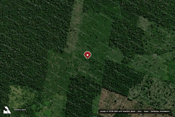 Imagem de satélite de Infração Ambiental em Buritis - RO (marcador da localização)