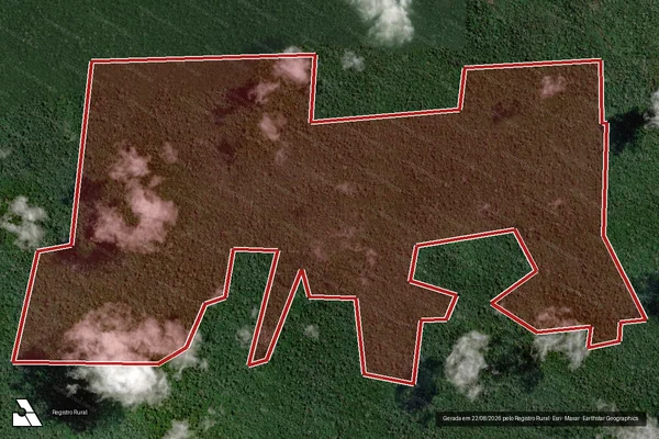 Imagem de satélite de Infração da Flora em Senador José Porfírio - PA