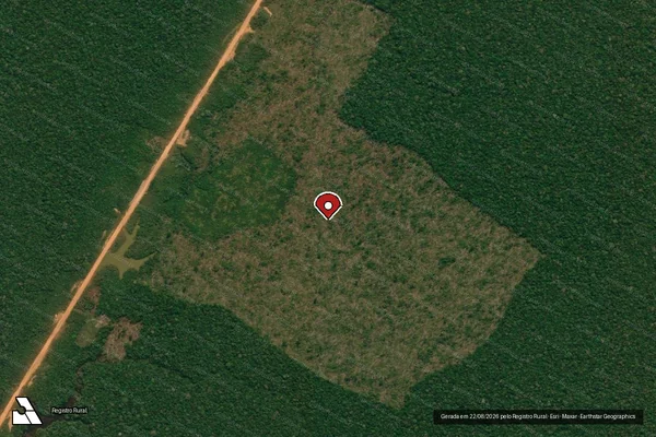 Imagem de satélite de Infração Ambiental em Humaitá - AM (marcador da localização)